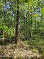 416 Sandy Ridge Road - Photo 7