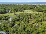 30 Sabal Palm Trail - Photo 6