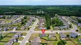 229 Red Carnation Drive - Photo 66
