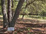 586 Maritime Way - Photo 1
