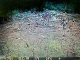 0 Chance Boulevard - Photo 26