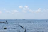 287 Old Pamlico Beach Road - Photo 71