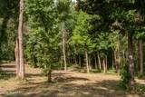 Tract A-1 Nc 133 Highway - Photo 18