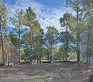 704 Bald Eagle Drive - Photo 14