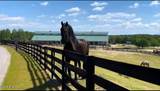 115 Rachels Point - Photo 124