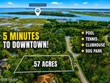Lot 50 Carolina Bay Court - Photo 31