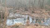 15 Acres Lawrence Road - Photo 21