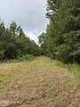 359 Roe And Sarah Drive - Photo 10