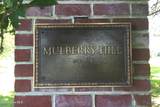 123 Mulberry Hill Lane - Photo 8