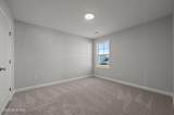 1016 Appaloosa Trail - Photo 59