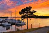 2213 Harbourside Drive - Photo 42