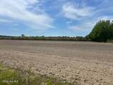 201 Richardson Road - Photo 7