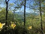 501 Cliff Top Trail - Photo 39