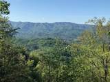 501 Cliff Top Trail - Photo 6