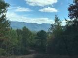 501 Cliff Top Trail - Photo 7