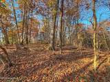 0 Mabry Mill Road - Photo 17