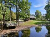 410 Whitebridge Road - Photo 65