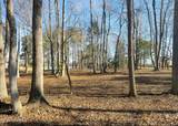 Lot 17 Redd Banks Lane - Photo 12