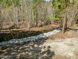207 Everett Park Trail - Photo 12