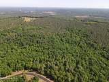 176 Lakeview Pass - Photo 4