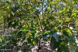 594 Rose Ridge Road - Photo 47