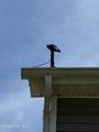530 Ridgecrest Street - Photo 44