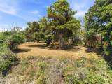 8612 Bald Eagle Lane - Photo 21