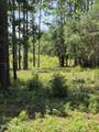 44 Pine Shores Drive - Photo 8