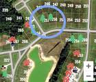 494 Burton Farm Drive - Photo 4