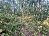 Lot 2 & 3 Strawhorn Creek Road - Photo 12