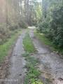 Lot 2 & 3 Strawhorn Creek Road - Photo 13