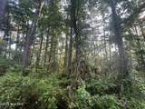 Lot 2 & 3 Strawhorn Creek Road - Photo 14