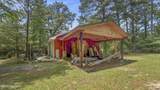 1726 U.S. 701 Highway - Photo 9