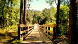 128 Burton Farm Drive - Photo 46