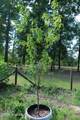 4306 Seago Road - Photo 44