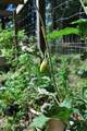4306 Seago Road - Photo 48