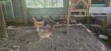 4306 Seago Road - Photo 58