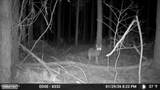 645 Bent Knee Road - Photo 24