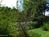 1010 Scotsdale Road - Photo 145