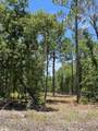 0 Bear Branch Drive - Photo 7