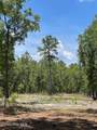 0 Bear Branch Drive - Photo 8