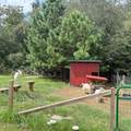230 Bowers Lane - Photo 18