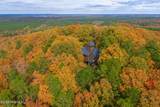 300 Cottonstone Lane - Photo 37