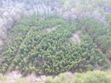 0 Shelter Creek Drive - Photo 12