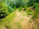 37 Toccoa Lane - Photo 13