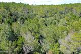 4.57 Acres Meekins Road - Photo 10