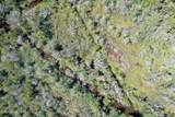 4.57 Acres Meekins Road - Photo 12