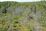 4.57 Acres Meekins Road - Photo 13