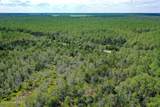 4.57 Acres Meekins Road - Photo 6