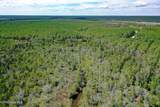 4.57 Acres Meekins Road - Photo 7